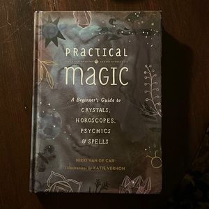 Practical Magic by Nikki Van De Car, good condition. Book for sale.